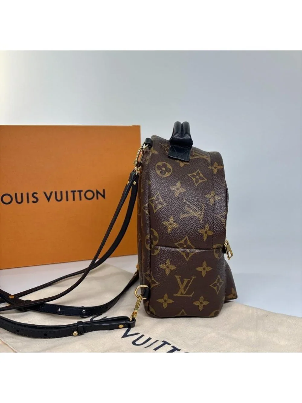 Louis Vuitton Palm Springs Mini Backpack Monogram